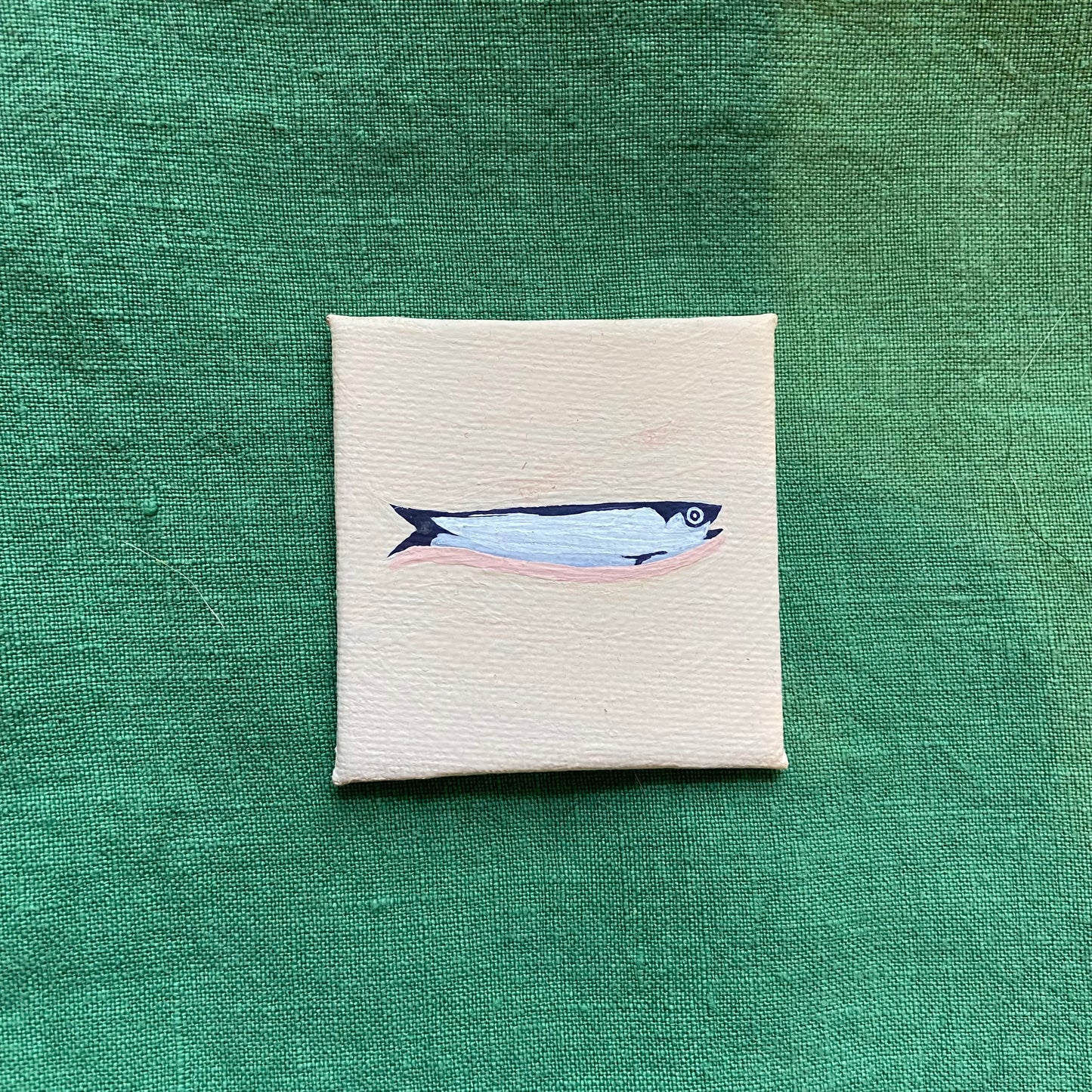 Sardine #2