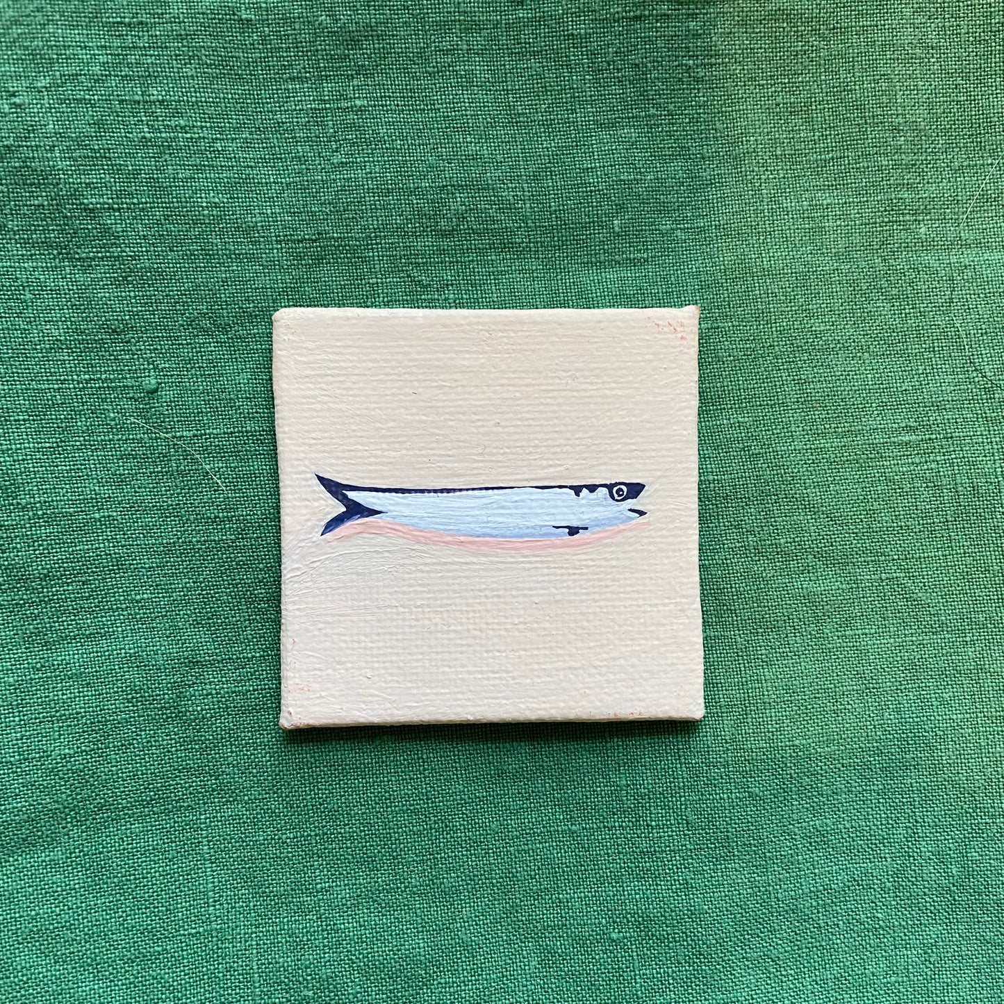 Sardine #3