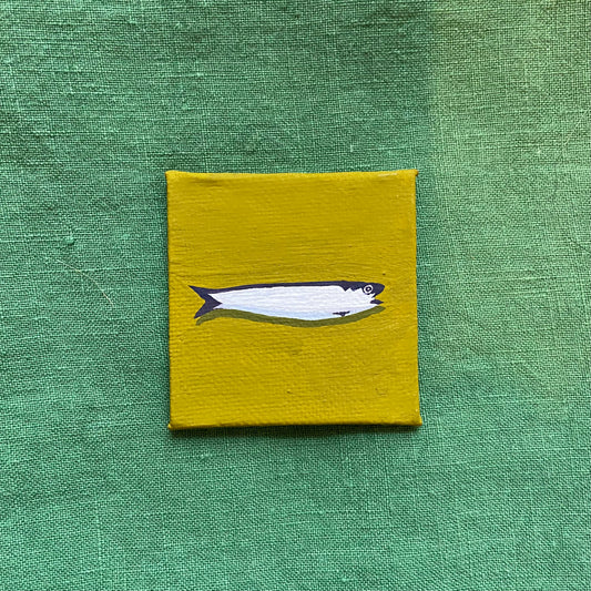 Sardine #4