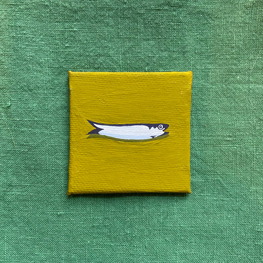 Sardine #5