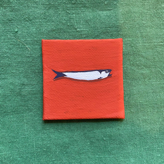 Sardine #6